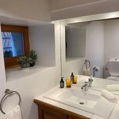 La Grande Majorie De Διαμέρισμα Nendaz