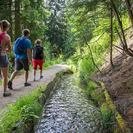 La Grande Majorie De Διαμέρισμα Nendaz