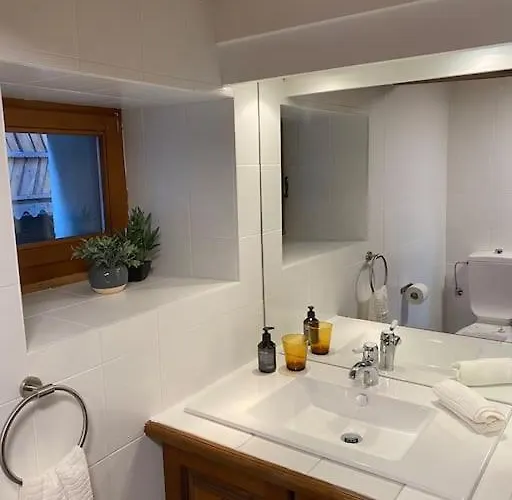 La Grande Majorie De Lejlighed Nendaz