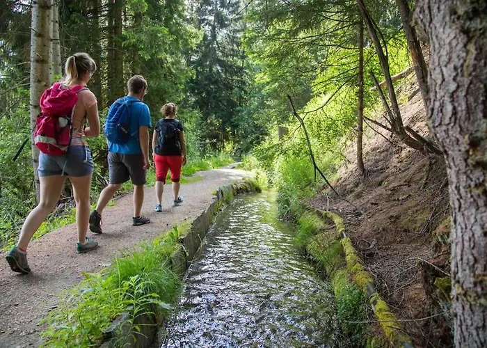 La Grande Majorie De Lejlighed Nendaz